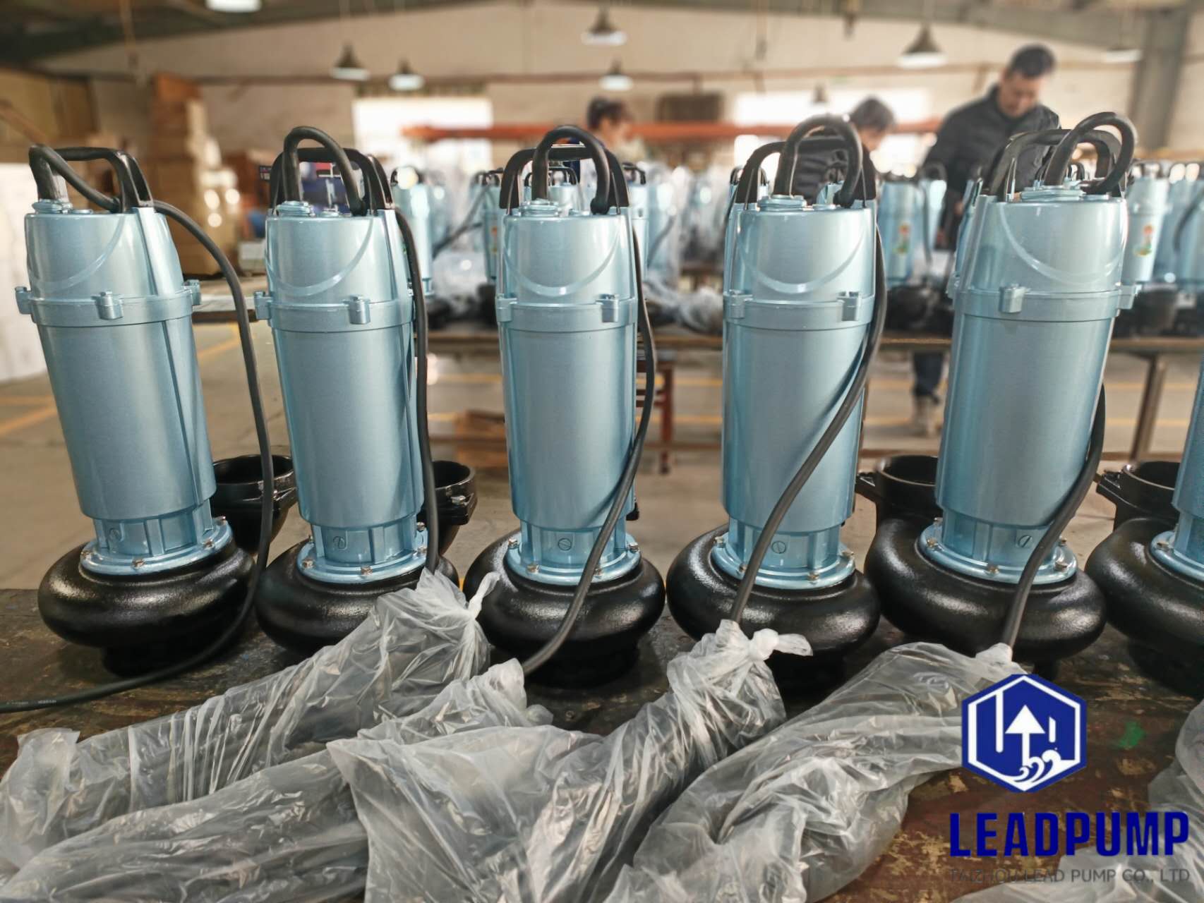 Taizhou Lead Pump Co., Ltd는 중동 고객을위한 새로운 수중 펌프 생산을 완료합니다.