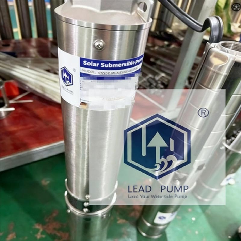 동부 아프리카에 힘을 실어주기: 첨단 태양열 구동 심우정 펌프가 성공적으로 배송되었습니다.